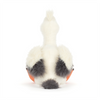 Keli Pelican