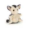 Lolly Sugar Glider