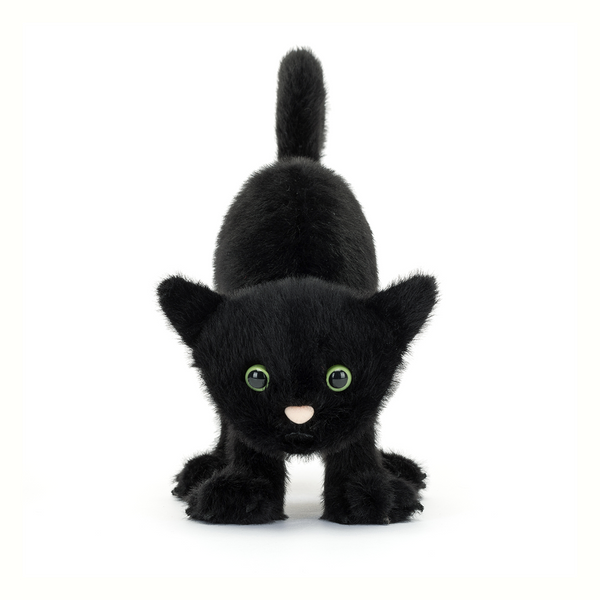 Spookipaws Cat