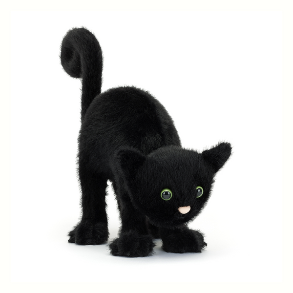 Spookipaws Cat