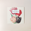 John Derian 2026 Wall Calendar