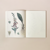 John Derian Coloring Book: Flowers