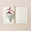 John Derian Coloring Book: Flowers