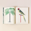 John Derian Picture Book II