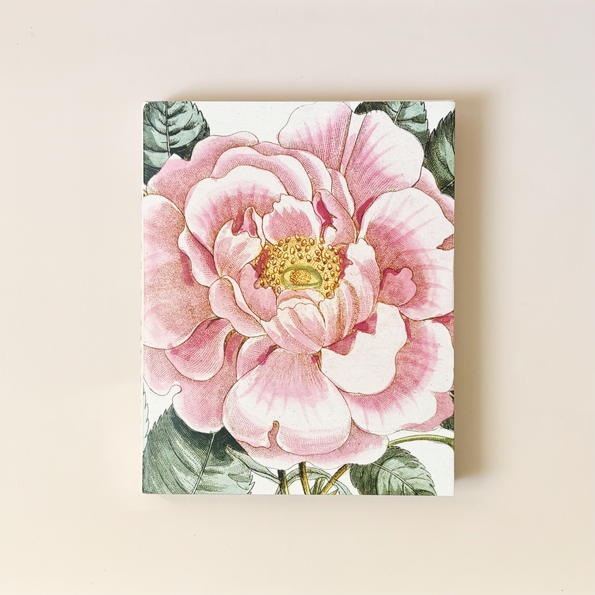 John Derian Picture Book II – Holliday John Derian Picture Book II – Holliday