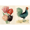 John Derian Sticker Book II