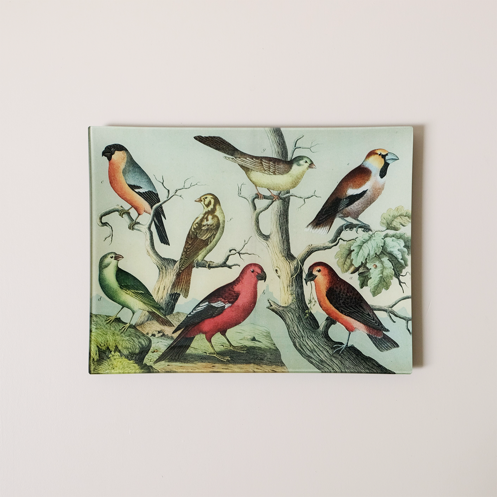 10" x 13" Rectangle Dish, Birds XIV