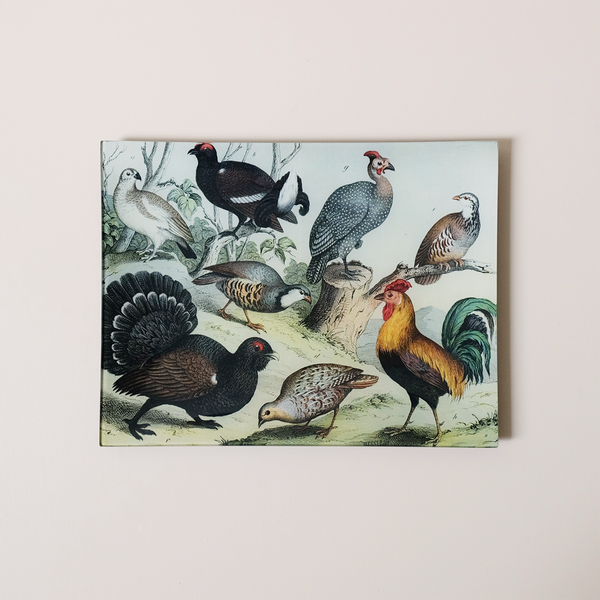 10"x13" Rectangle Dish, Birds XXII