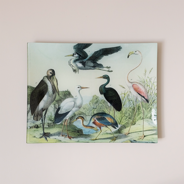 10"x13" Rectangle Dish, Birds XXV