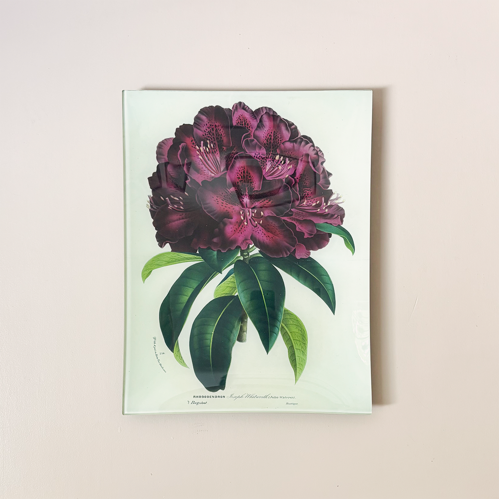 10"x13" Rectangle Dish, Rhododendron Joseph Whitworth