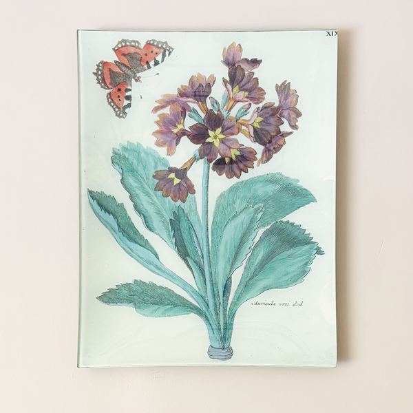 10"x13" Rectangle Dish, Auricula XIX