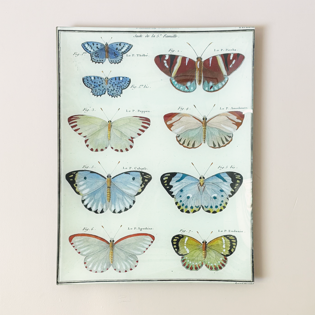 10"x13" Rectangle Dish, Butterflies 16