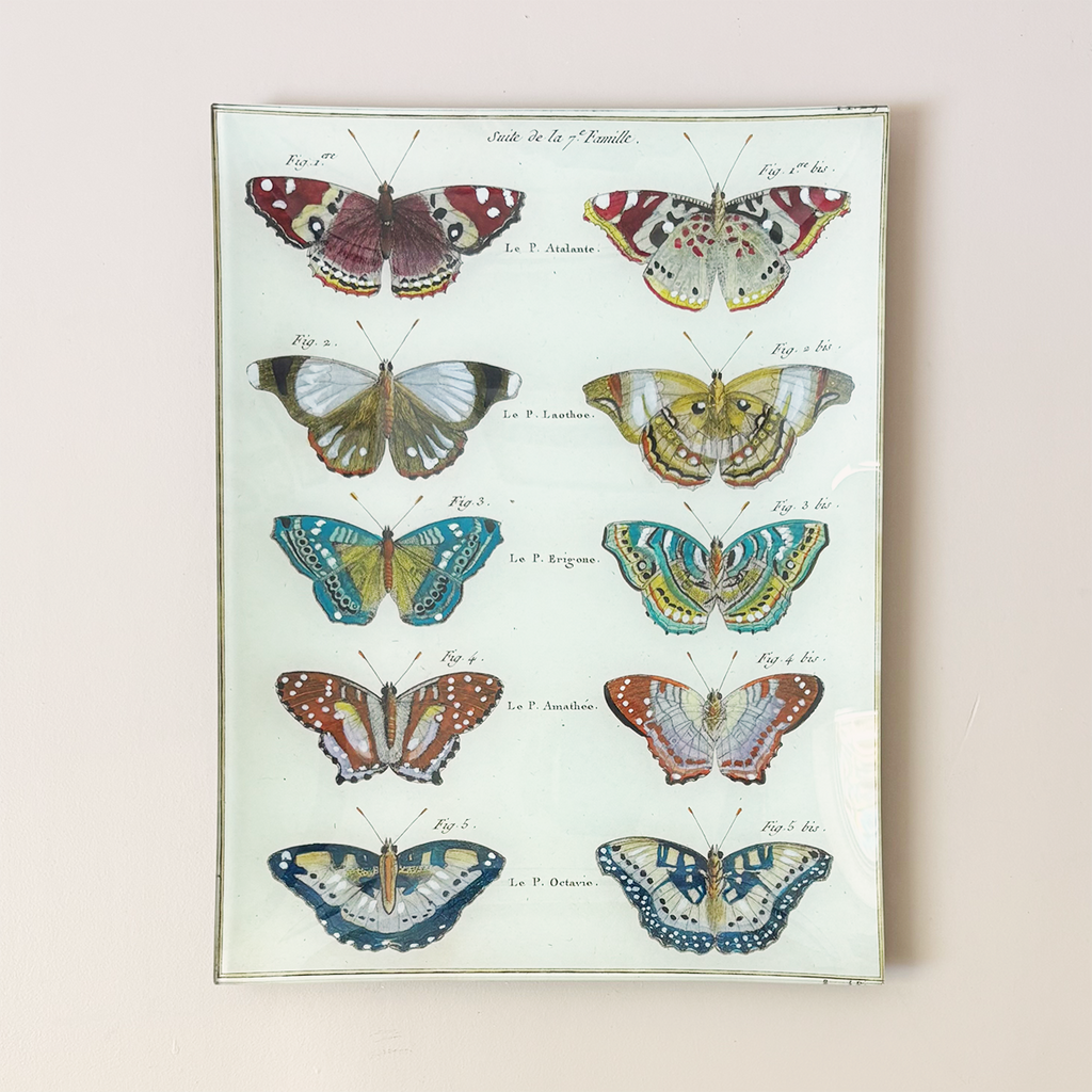10"x13" Rectangle Dish, Butterflies 29