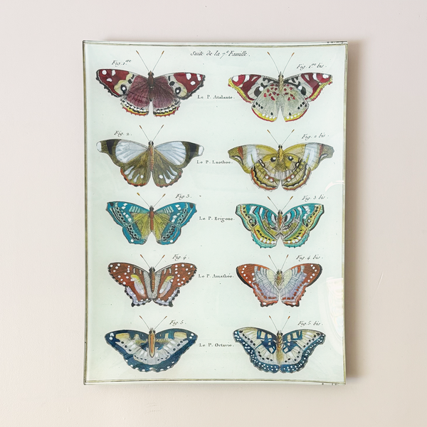 10"x13" Rectangle Dish, Butterflies 29