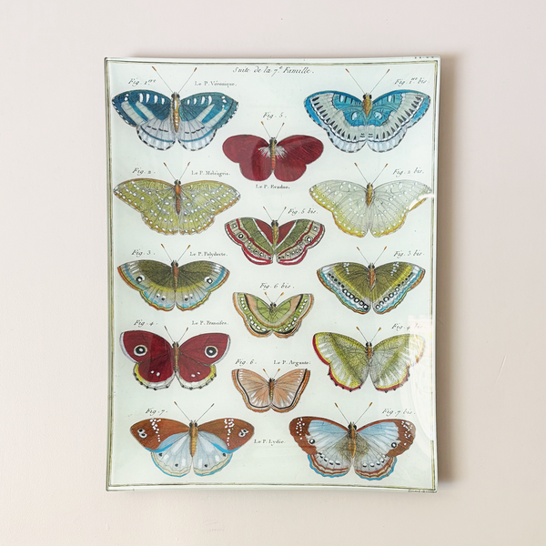 10"x13" Rectangle Dish, Butterflies 31