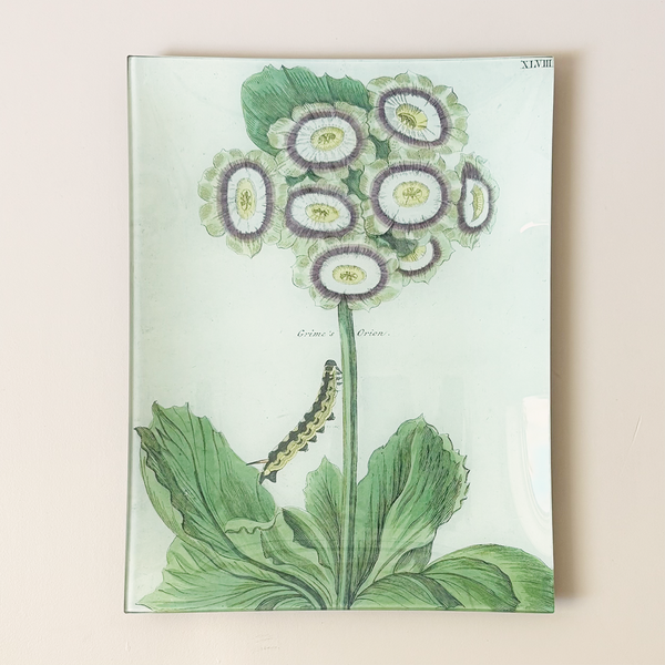 10"x13" Rectangle Dish, Grime's Orion XLVIII