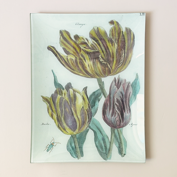10"x13" Rectangle Dish, Tulips LII
