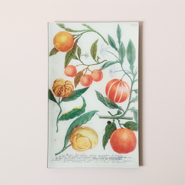 10"x16" Rectangle Dish, Oranges