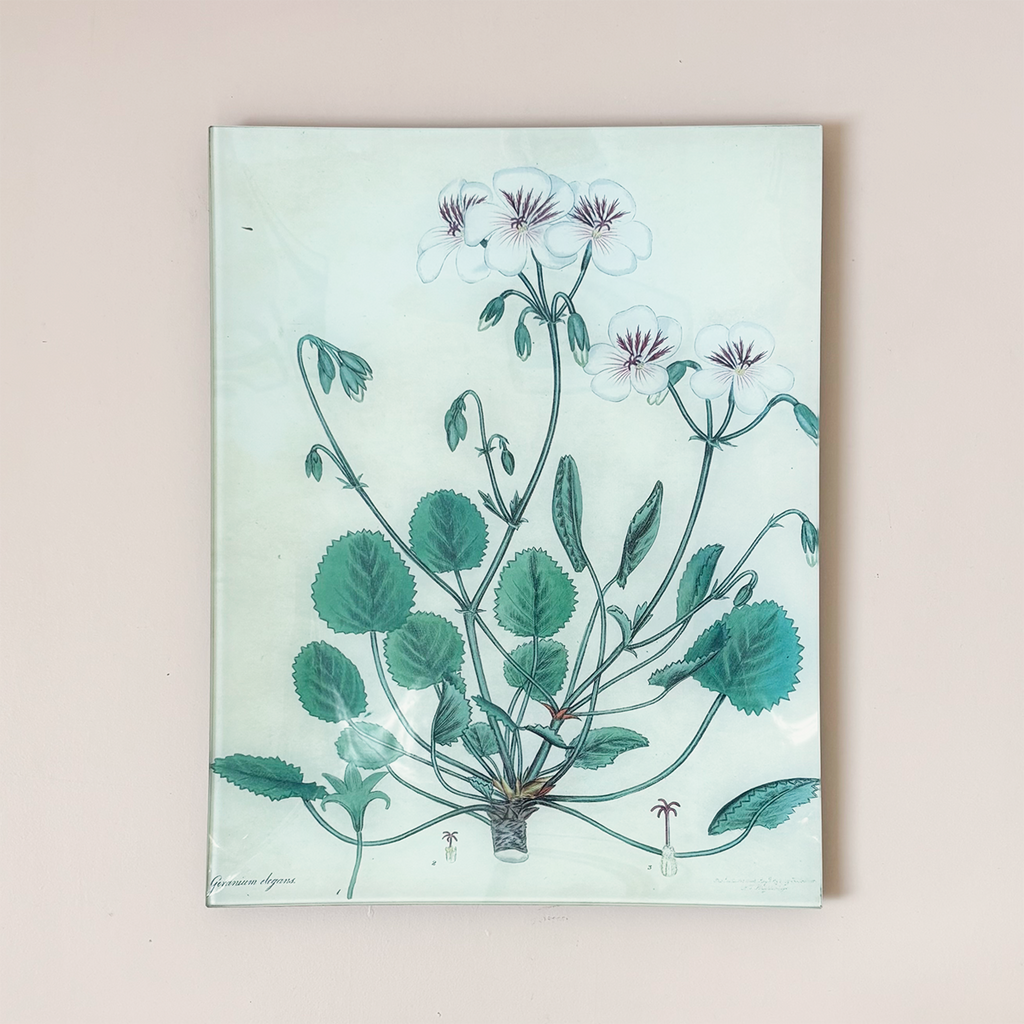 11"x14" Rectangle Tray, Geranium Elegans (P 46)