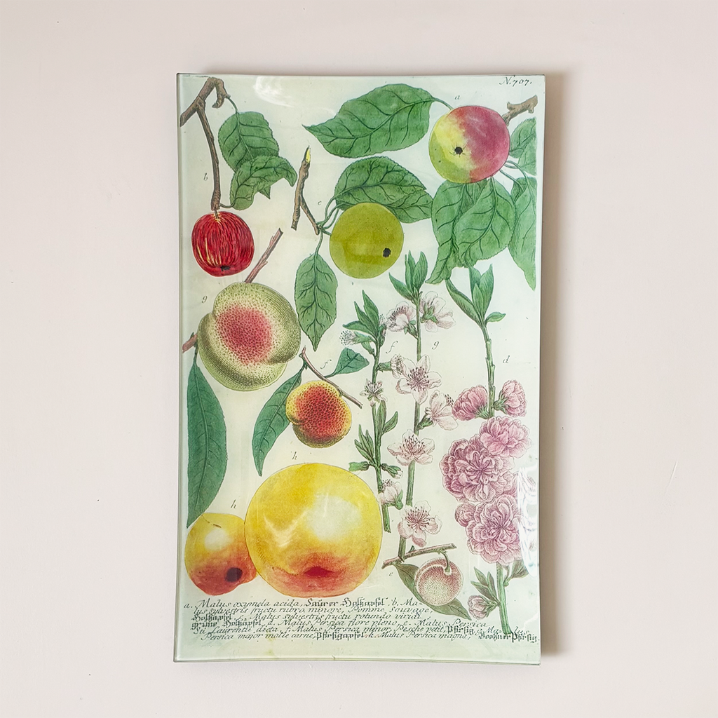 10"x16" Rectangle Dish, N. 707 Colorful Apples