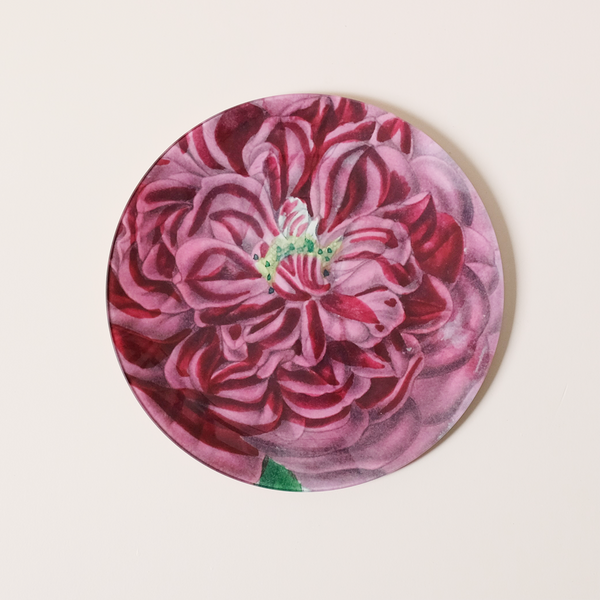 11" Round Dish, Rose Souvenir du Docteur Jamain