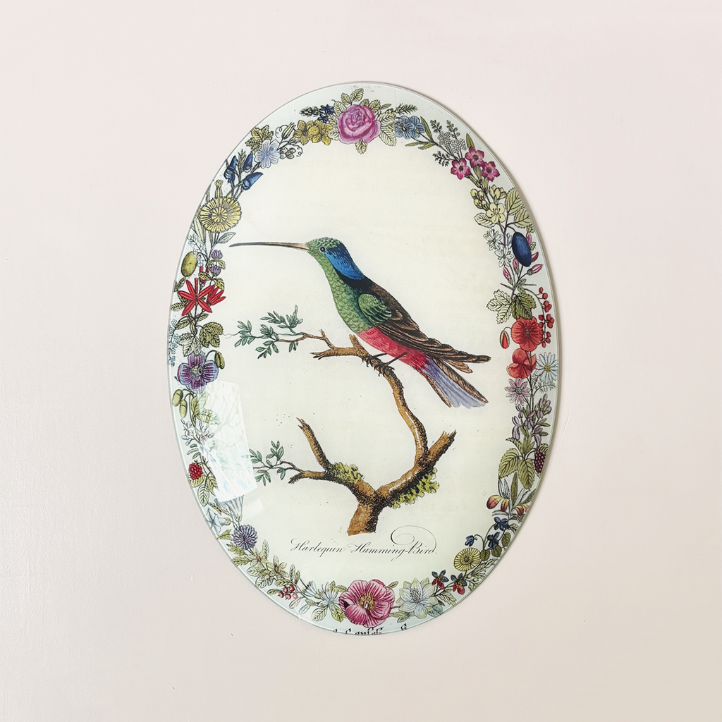 13" x 18" Convex Oval, Harlequin Hummingbird with Flowers