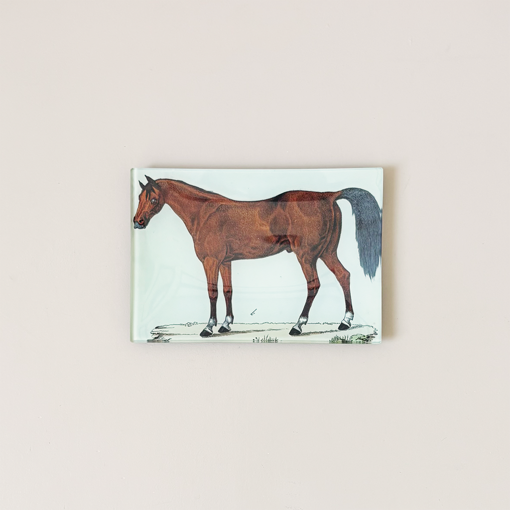 4.5" x 6" Rectangle Tray, A Horse