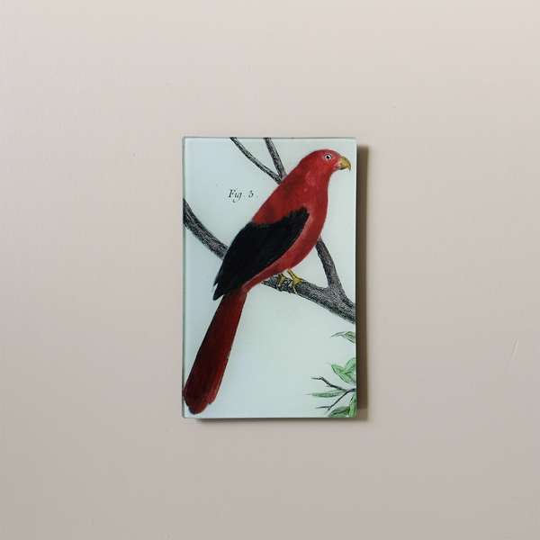5"x8" Rectangle Tray, King Parrot