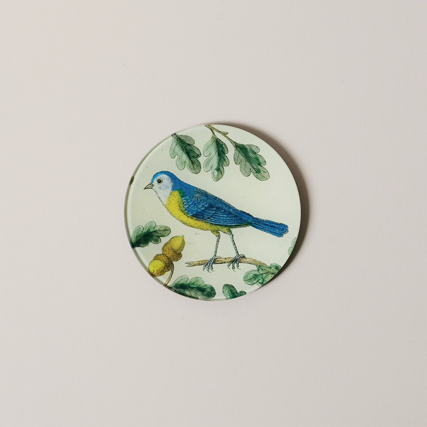 5.25" Round Dish, Titmouse