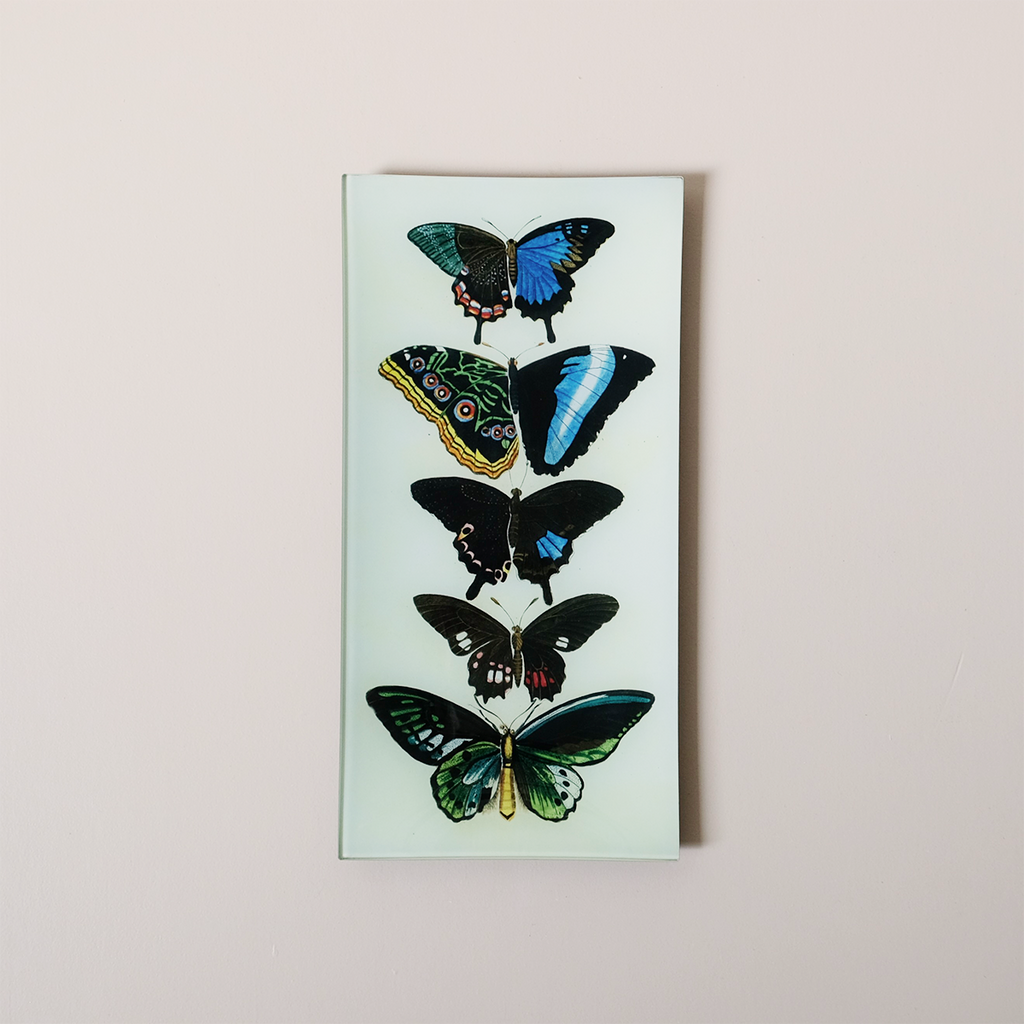 6"x12" Pencil Tray, Five Winged