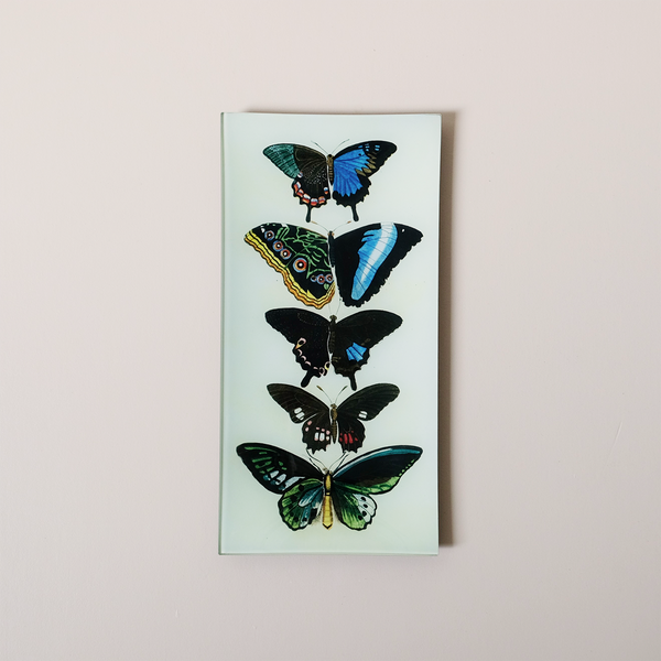 6"x12" Pencil Tray, Five Winged