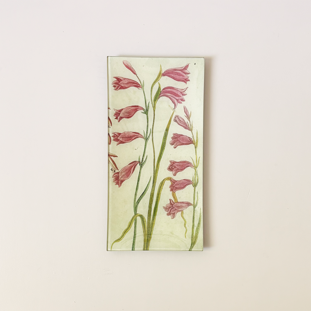 6"x12" Pencil Tray, Gladiolus 546