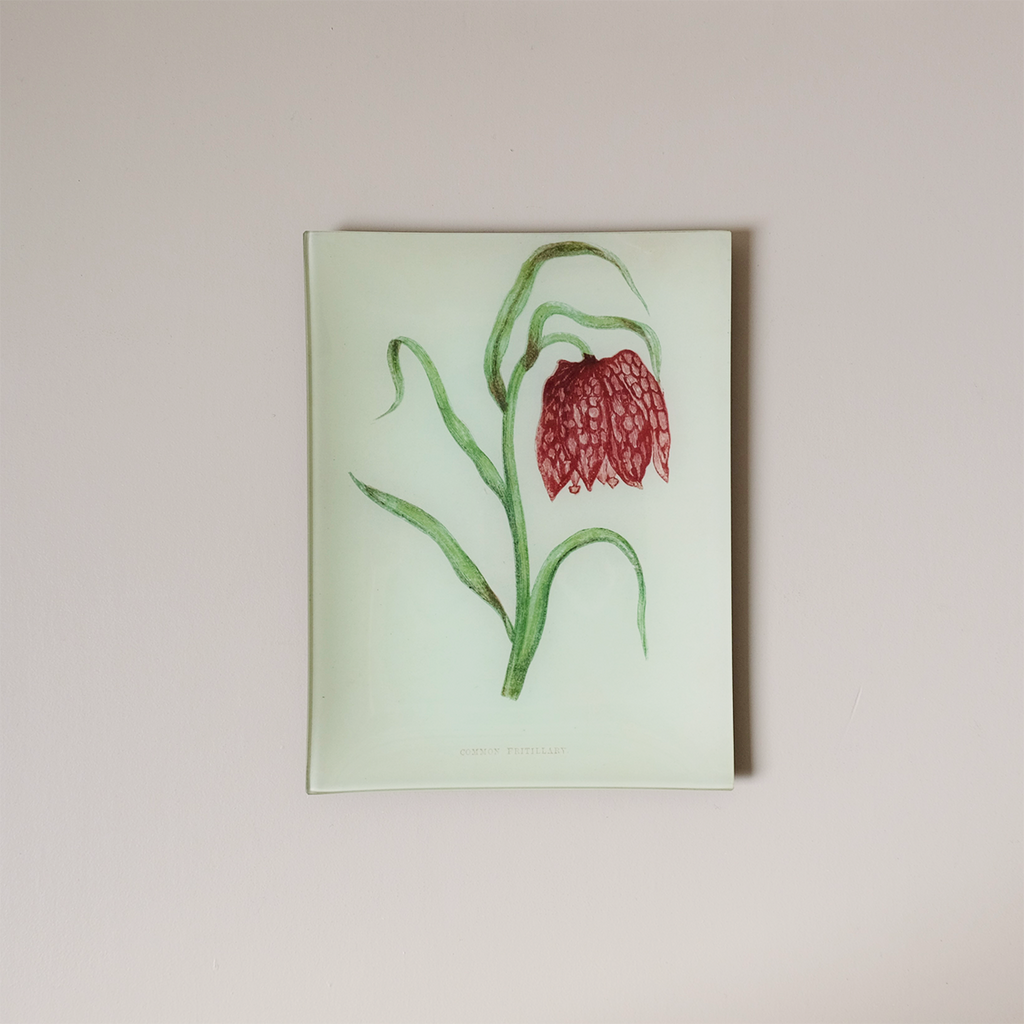 8"x10.5" Rectangle Dish, Common Fritillary