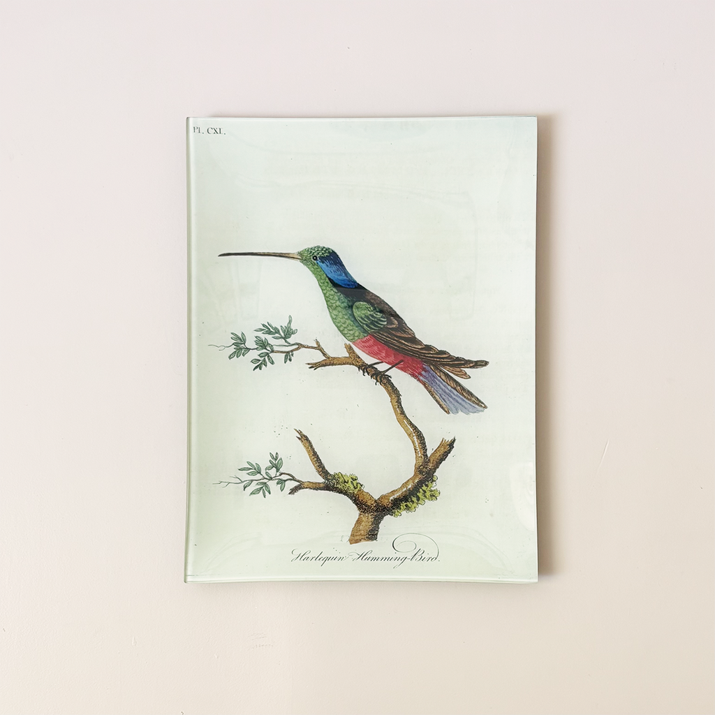 9"x12" Rectangle Dish, Harlequin Hummingbird