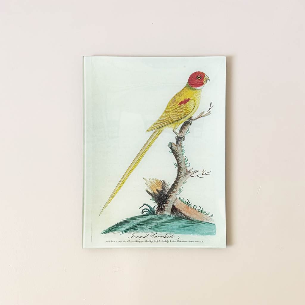 9"x12" Rectangle Dish, Jonquil Parakeet