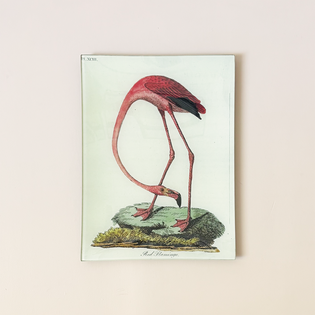 9"x12" Rectangle Dish, Red Flamingo