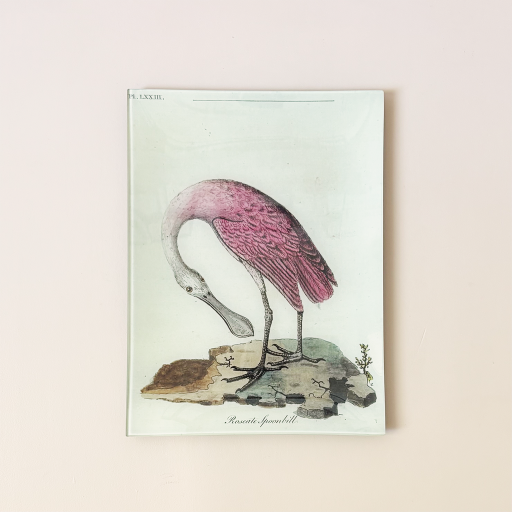 9"x12" Rectangle Dish, Roseate Spoonbill
