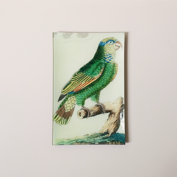 9"x14" Rectangle Dish, Parrot #1