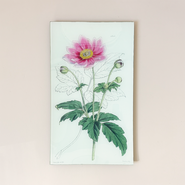 9.5 x 16.25" Rectangle Tray, Anemone Japonica Pink