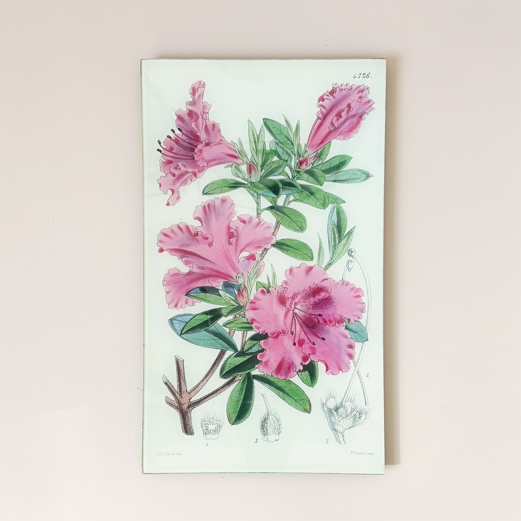 9.5 x 16.25" Rectangle Tray, Azalea Cripiflora