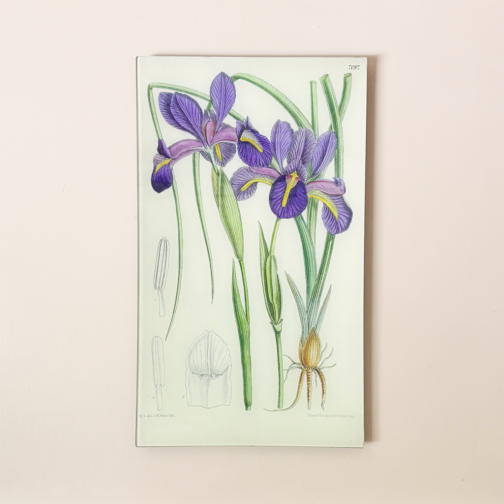 9.5 x 16.25" Rectangle Tray, Iris