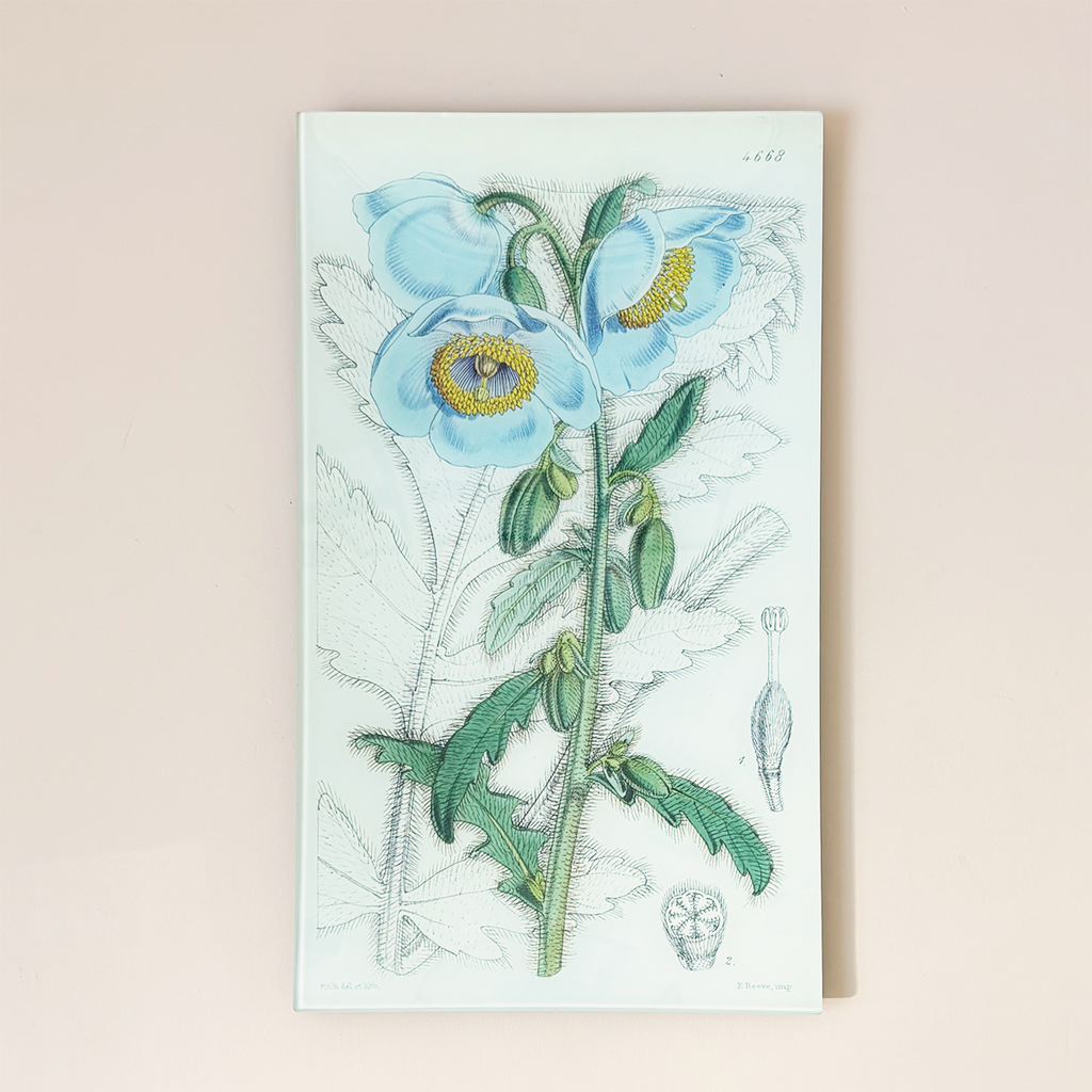 9.5 x 16.25" Rectangle Tray, Meconopsis