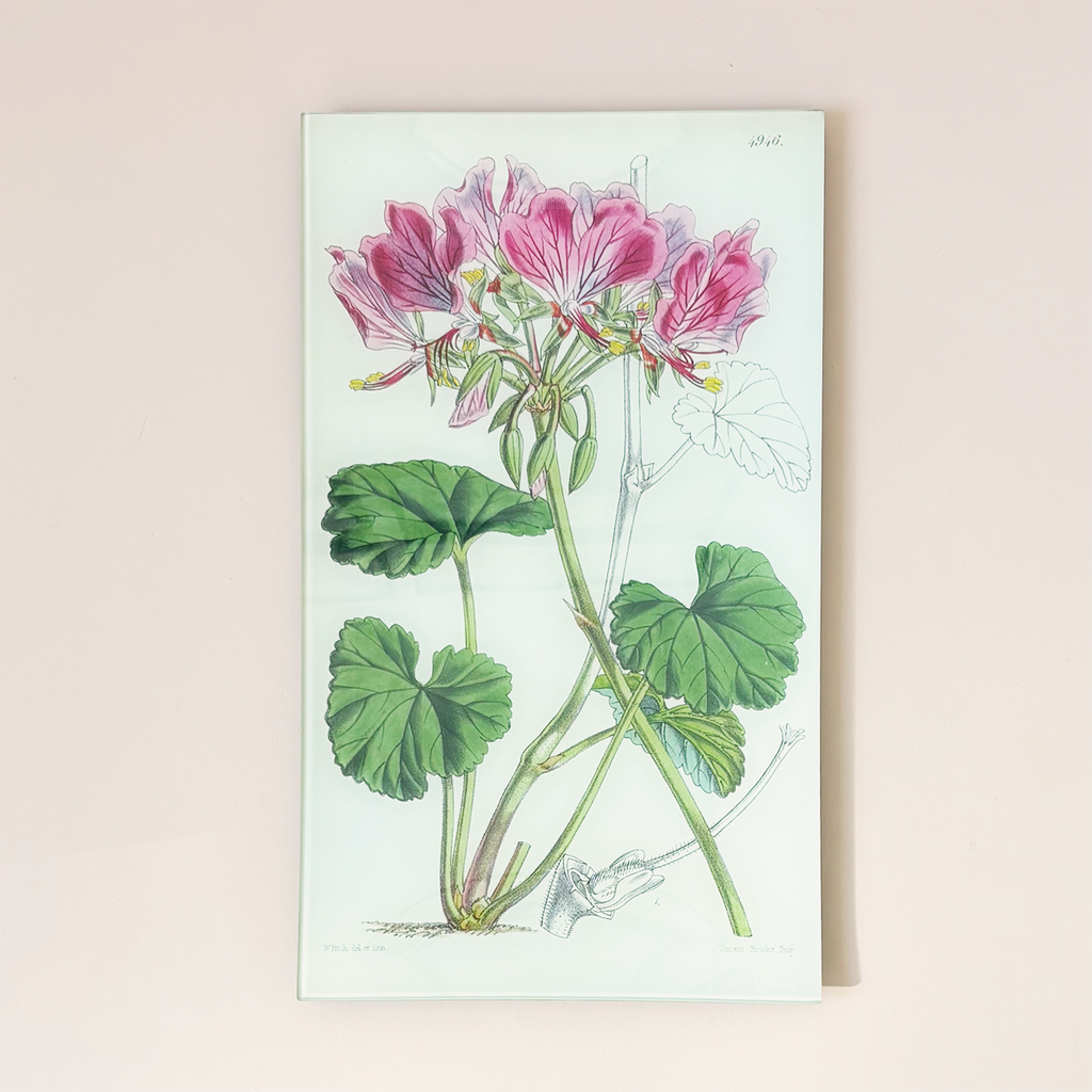9.5 x 16.25" Rectangle Tray, Pelargonium Endlicherianum