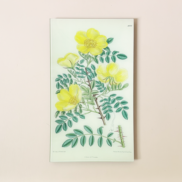 9.5 x 16.25" Rectangle Tray, Rosa Hugonis