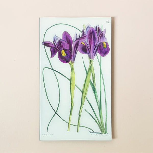 9.5 x 16.25" Rectangle Tray, Xiphion Filifolium