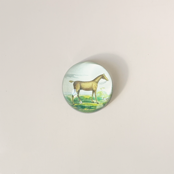 Dome Paperweight, Brown Horse