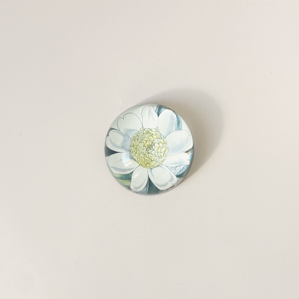Dome Paperweight, Camellia Sasanqua