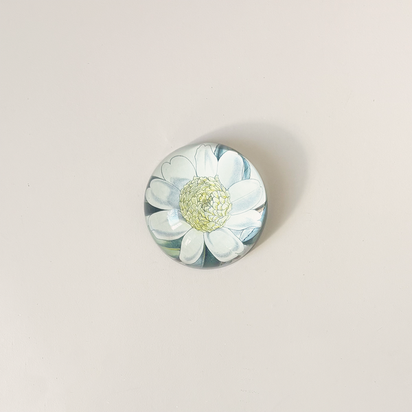 Dome Paperweight, Camellia Sasanqua