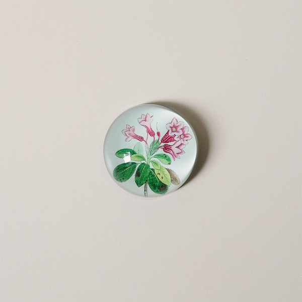 Dome Paperweight, Hairy-Leaved Rhododendron