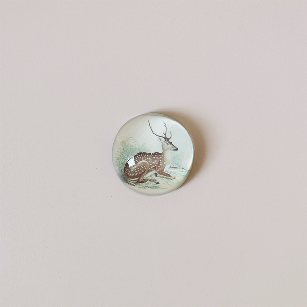 Dome Paperweight, Sitting Deer